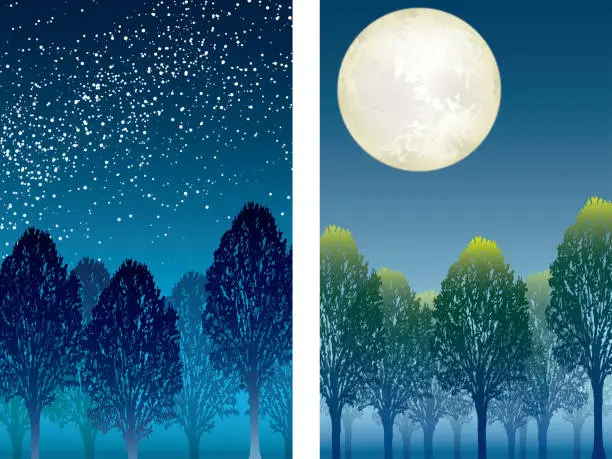 Vector illustration of Set of two vector illustrations of the forest at night.