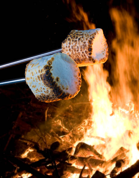 istock Pair of roasted marshmallows and small fire 937271466