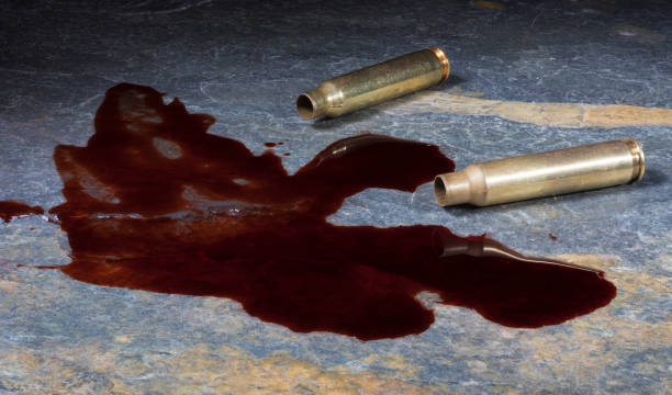 Assault rifle brass and blood on the floor Dark rock with gold and black color and AR-15 ammo with blood nearby criminal activity stock pictures, royalty-free photos & images