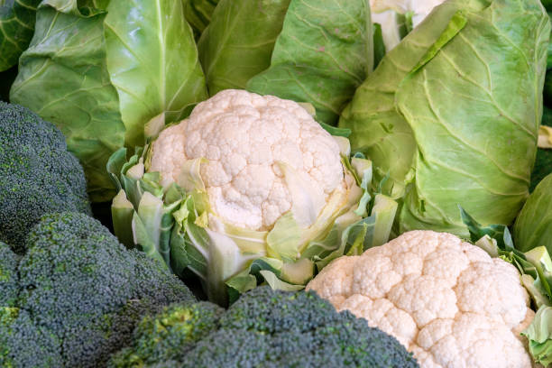 various types of cabbage fresh cauliflower, broccoli and cabbage cruciferous vegetables stock pictures, royalty-free photos & images