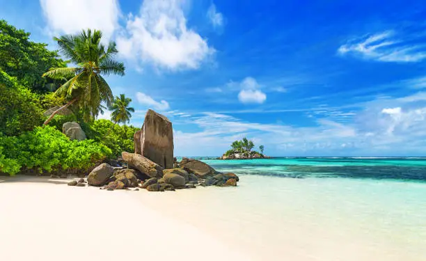 Seychelles, tropical beach Anse Royale, most popular beach on island Mahe. Paradise background with  impressive nature, white sand, clear water, coconut palms, granite rocks and coral reef protection
