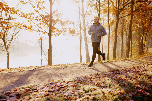 fit male runner training in the park during cold sunny autumn morning - 2546 imagens e fotografias de stock