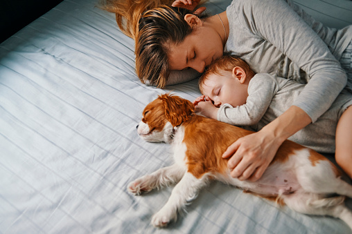 young mother enjoying napping with her baby and puppy