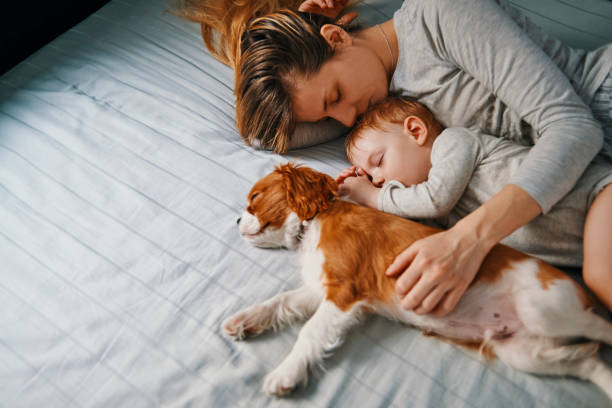 young mother taking a nap with her babies young mother enjoying napping with her baby and puppy cub photos stock pictures, royalty-free photos & images