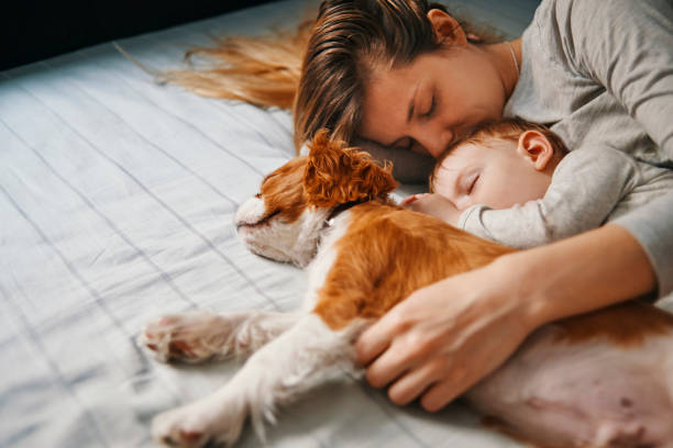 istock young mother taking a nap with her babies 937289958