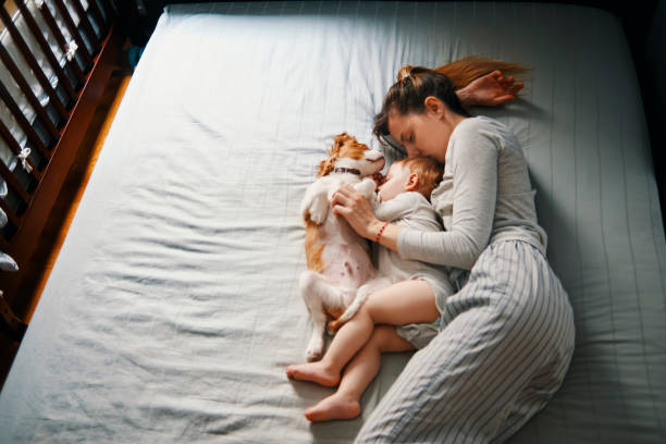 istock young mother taking a nap with her babies 937290470