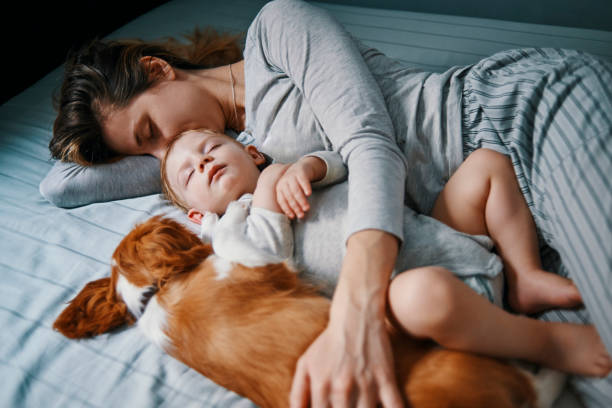 istock time for a well deserved power nap 937290758