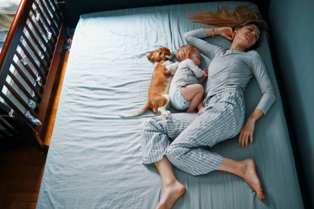 istock enjoying laziness in bed 937290920