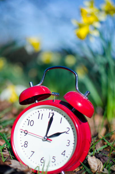 istock Alarm clock in spring in flowerbed 937290924