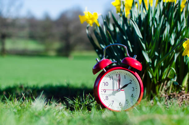 istock Alarm clock in spring in flowerbed 937291024
