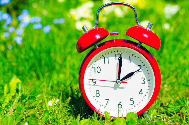 istock Alarm clock in spring in flowerbed 937291078