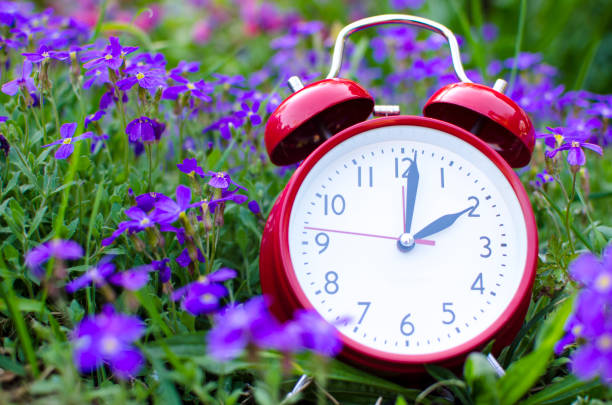 istock Alarm clock in spring in flowerbed 937291144