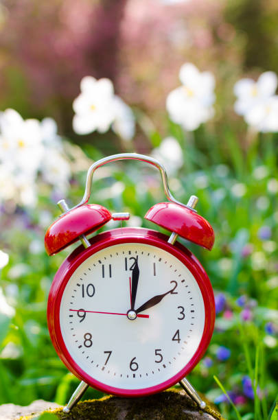 istock Alarm clock in spring in flowerbed 937291168