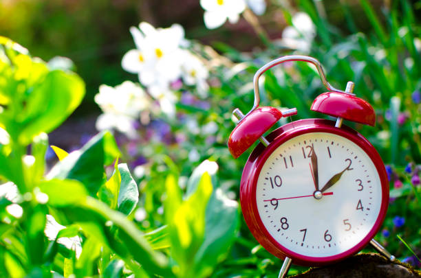 istock Alarm clock in spring in flowerbed 937291212