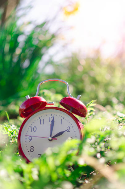 istock Alarm clock in spring in flowerbed 937291698
