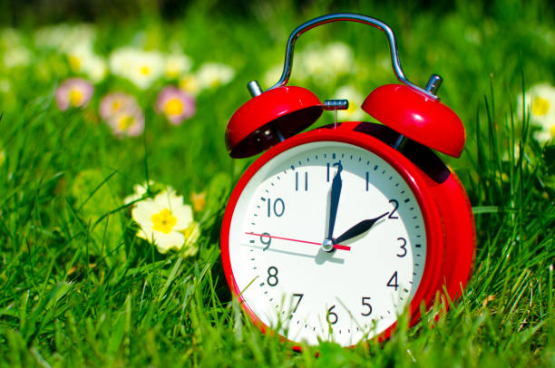 istock Alarm clock in spring in flowerbed 937291768
