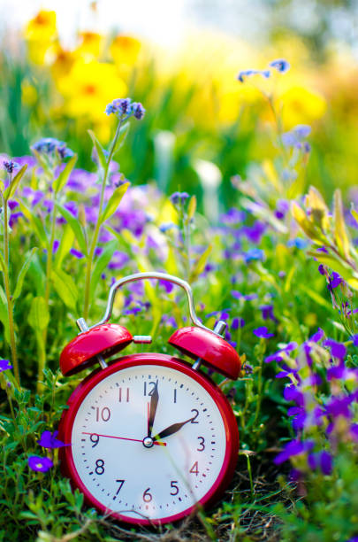 istock Alarm clock in spring in flowerbed 937291842