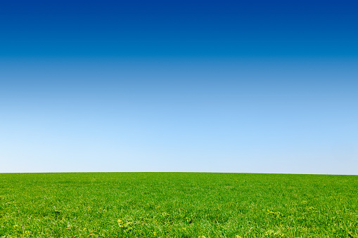 Idyllic english rural landscape with scenic green field under a blue summer sky in Southern England UK