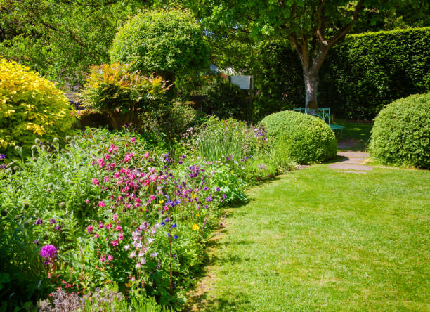 緑の夏のイングリッシュ ガーデン南イギリス - formal garden garden path bench flower ストックフォトと画像