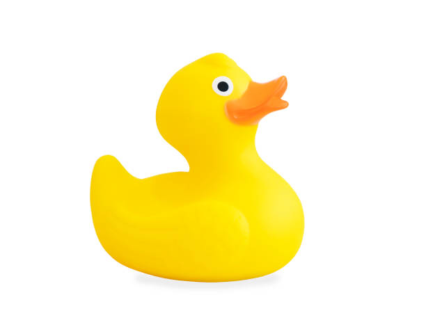 istock Yellow rubber duck isolated over white background 937295146