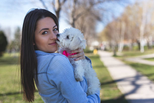 istock Puppy kisses owner nose 937298226