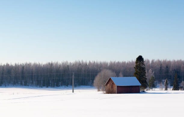 сарай в заснеженном поле - winter finland agriculture barn стоковые фото и изображения