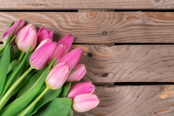 istock Tulips on the wooden background 937302310