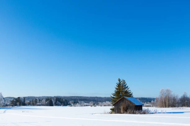 vecchio fienile nel campo innevato - winter finland agriculture barn foto e immagini stock