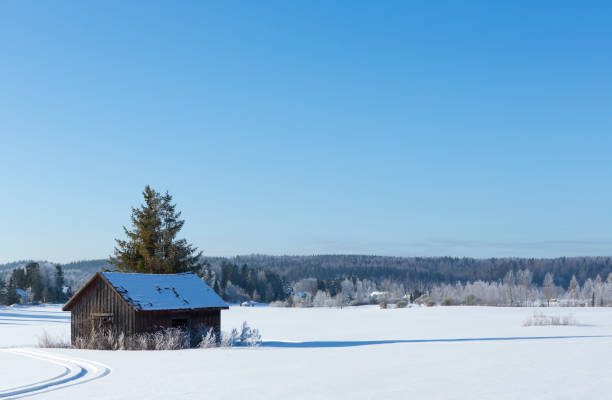 vecchio fienile nel campo innevato - winter finland agriculture barn foto e immagini stock