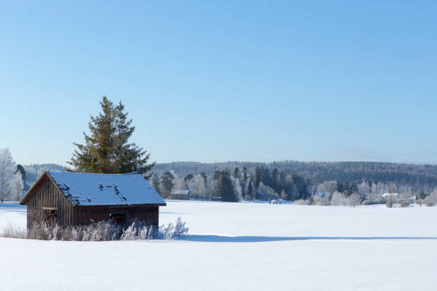 vecchio fienile nel campo innevato - winter finland agriculture barn foto e immagini stock