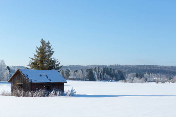 старый сарай в заснеженном поле - winter finland agriculture barn стоковые фото и изображения