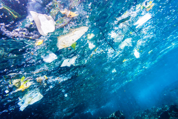 istock Environmental Issue: Underwater image of Plastic Pollution in the Ocean 937303196