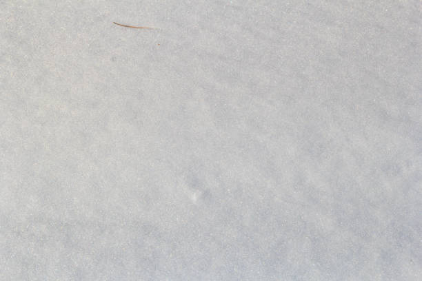 istock texture of white snow sparkling in the sun 937303394