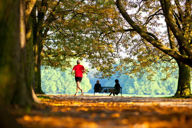 Cologne, Germany - September 01, 2011. The town forest of Cologne is one of the largest inner-city park resources in Europe. The town forest surrounds the whole town of Cologne. In every season the forest is very popular for any kind of outdoor activity like jogging or just having a break on a park bench.