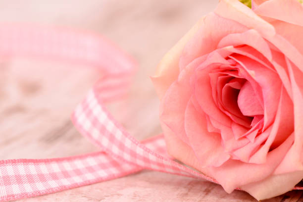 Red roses with decorative ribbons and heart shape[url=file_closeup.php?id=15095262][img]file_thumbview_approve.php?size=1&id=15095262[/img][/url] [url=file_closeup.php?id=15080670][img]file_thumbview_approve.php?size=1&id=15080670[/img][/url] [url=file_closeup.php?id=15080559][img]file_thumbview_approve.php?size=1&id=15080559[/img][/url] [url=file_closeup.php?id=15080502][img]file_thumbview_approve.php?size=1&id=15080502[/img][/url] [url=file_closeup.php?id=15077962][img]file_thumbview_approve.php?size=1&id=15077962[/img][/url][url=http://www.istockphoto.com/search/lightbox/9704758][img]http://i705.photobucket.com/albums/ww60/Vozd500/valentiner.jpg?t=1292351155[/img][/url][url=http://www.istockphoto.com/my_lightbox_contents.php?lightboxID=8928822][img]http://i705.photobucket.com/albums/ww60/Vozd500/christmas.jpg?t=128376636[/img][/url] [url=http://www.istockphoto.com/my_lightbox_contents.php?lightboxID=8967751][img]http://i705.photobucket.com/albums/ww60/Vozd500/deca.jpg?t=1283946588[/img][/url][url=http://www.istockphoto.com/my_lightbox_contents.php?lightboxID=7210391][img]http://i705.photobucket.com/albums/ww60/Vozd500/food.jpg?t=1283944614[/img][/url]   [url=http://www.istockphoto.com/search/lightbox/9920346#/3e7d924][img]http://i705.photobucket.com/albums/ww60/Vozd500/videofood.jpg[/img][/url][url=http://www.istockphoto.com/my_lightbox_contents.php?lightboxID=8968257][img]http://i705.photobucket.com/albums/ww60/Vozd500/drinks.jpg?t=1283946503[/img][/url][url=http://www.istockphoto.com/search/lightbox/9353744#ed94081][img]http://i705.photobucket.com/albums/ww60/Vozd500/naposlu.jpg?t=1288805671[/img][/url][url=http://www.istockphoto.com/search/lightbox/9353772#1dd0035d][img]http://i705.photobucket.com/albums/ww60/Vozd500/konceptir.jpg?t=1288788715[/img][/url][url=http://api.istockphoto.com/file_search.php?action=file&lightboxID=9353742][img]http://i705.photobucket.com/albums/ww60/Vozd500/jesen.jpg?t=1288783983[/img][/url]