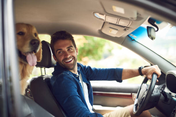 You comfy back there? Cropped shot of a handsome young man taking a drive with his dog in the backseat car interior stock pictures, royalty-free photos & images