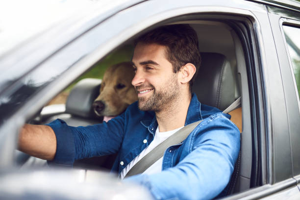 istock Cruisin' with my best friend 937331054
