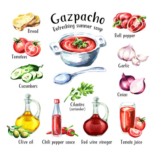 illustrazioni stock, clip art, cartoni animati e icone di tendenza di gazpacho. zuppa estiva rinfrescante fredda. ingredienti. illustrazione disegnata a mano ad acquerello, isolata su sfondo bianco - gazpacho salsa vegan food freshness