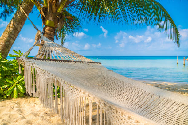 istock Scenic View Of Beach Against Blue Sky 937349880