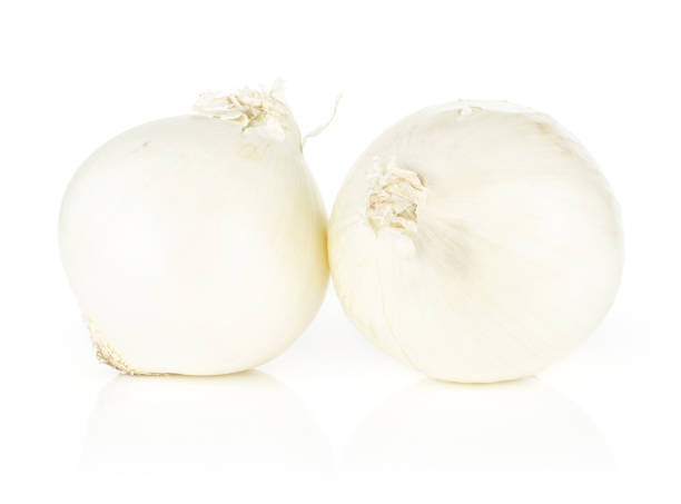 Fresh raw white onion isolated on white White onion two shiny and fresh pearls isolated on white background papery stock pictures, royalty-free photos & images