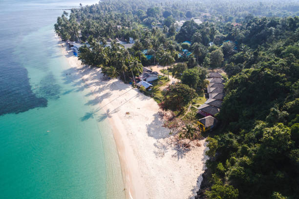 istock High Angle View Of Trees On Beach 937351088