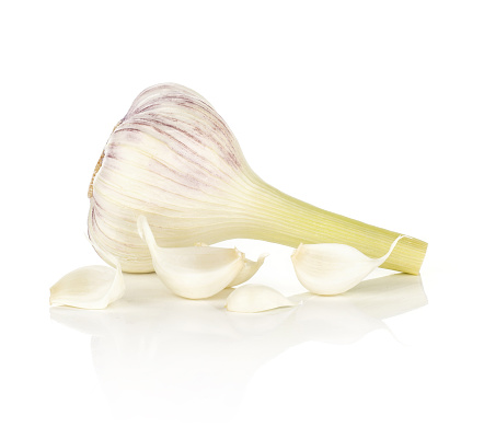 Young garlic one fresh bulb and three separated cloves isolated on white background