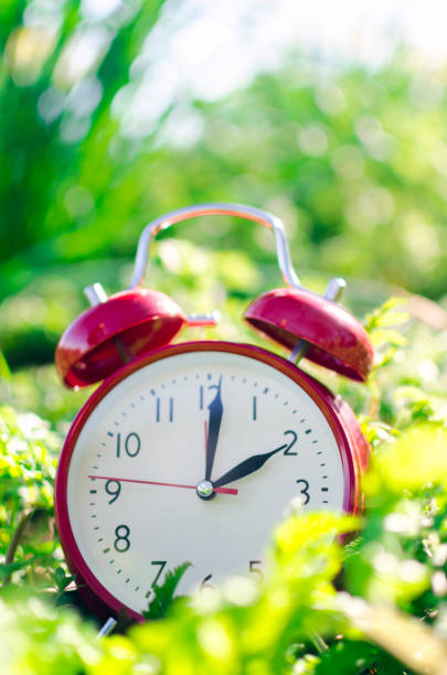 istock Symbolic alarm clock sitting in a flowerbed for time change to daylight saving time 937376308