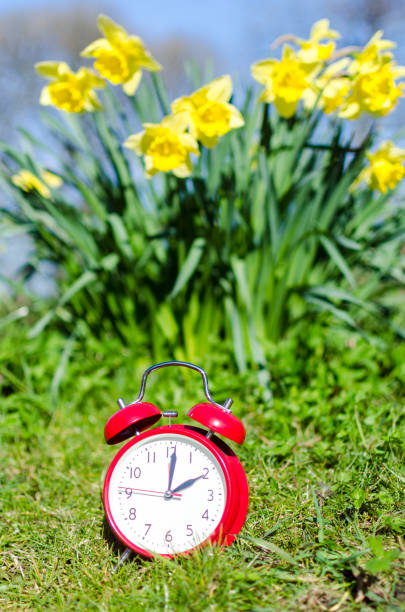 istock Symbolic alarm clock sitting in a flowerbed for time change to daylight saving time 937377070