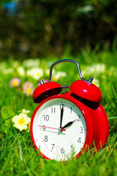 istock Symbolic alarm clock sitting in a flowerbed for time change to daylight saving time 937378476