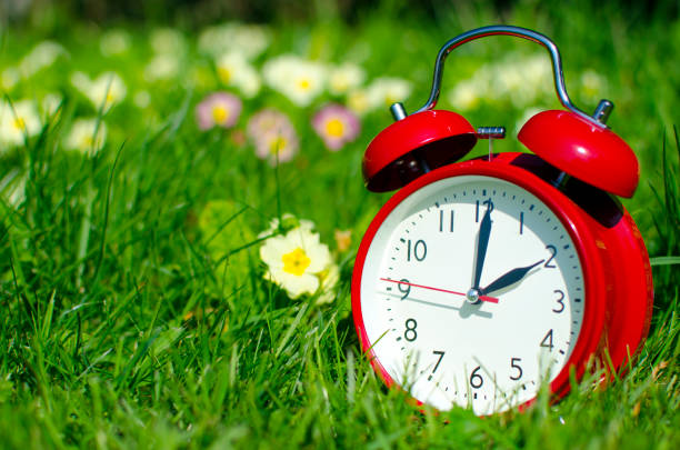 Symbolic alarm clock sitting in a flowerbed for time change to daylight saving time stock photo