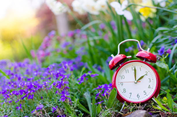 The photo is showing the clock in a floral surrounding.