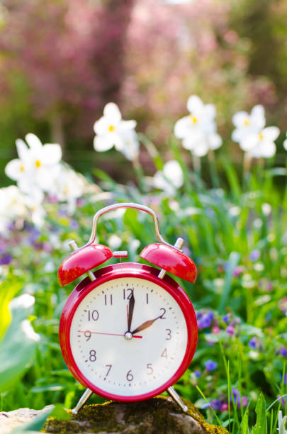 istock Symbolic alarm clock sitting in a flowerbed for time change to daylight saving time 937378542