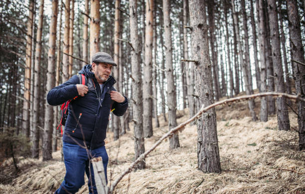 istock Man hiking in nature 937389242