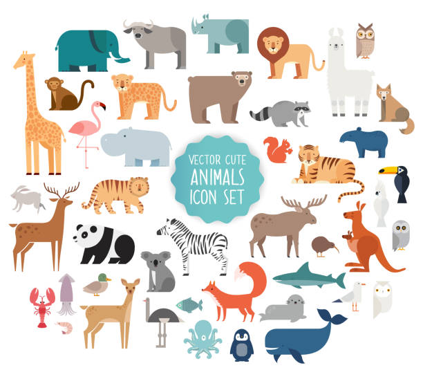 Animal vector illustration Cute Animal Vector illustration Icon Set isolated on a white background. tiger illustrations stock illustrations